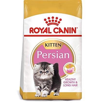 royal canin persian kitten