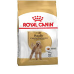 Royal Canin Poodle Adult - Image 2