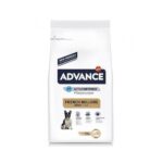 advance french bulldog 2,5kg