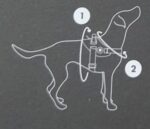 Zee.Dog Urban FlyHarness - Image 15