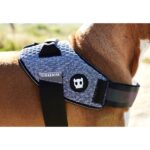 Zee.Dog Urban FlyHarness - Image 2