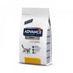 adv vet cat renal