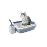 wc gato
