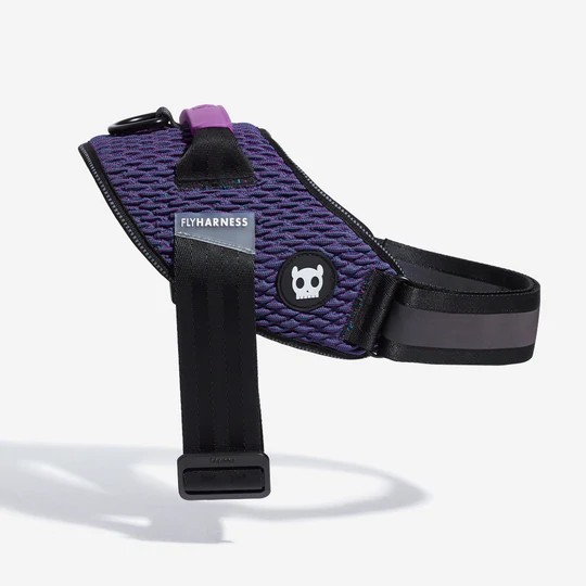 zee.dog wicked flyharness