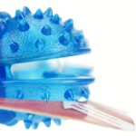Pawise Dispensador Guloseimas Osso 18 CM wepet