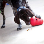 KONG Wobbler brinquedo dispensador de snacks para cão