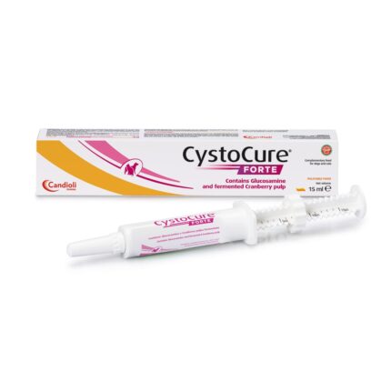 CYSTOCURE Forte Paste 15ml
