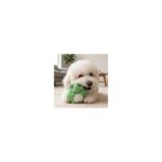 Kong Snuzzles Mini Frog XS - Image 3