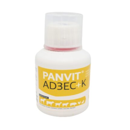 Zoopan | Panvit®AD3EC+K 100ml